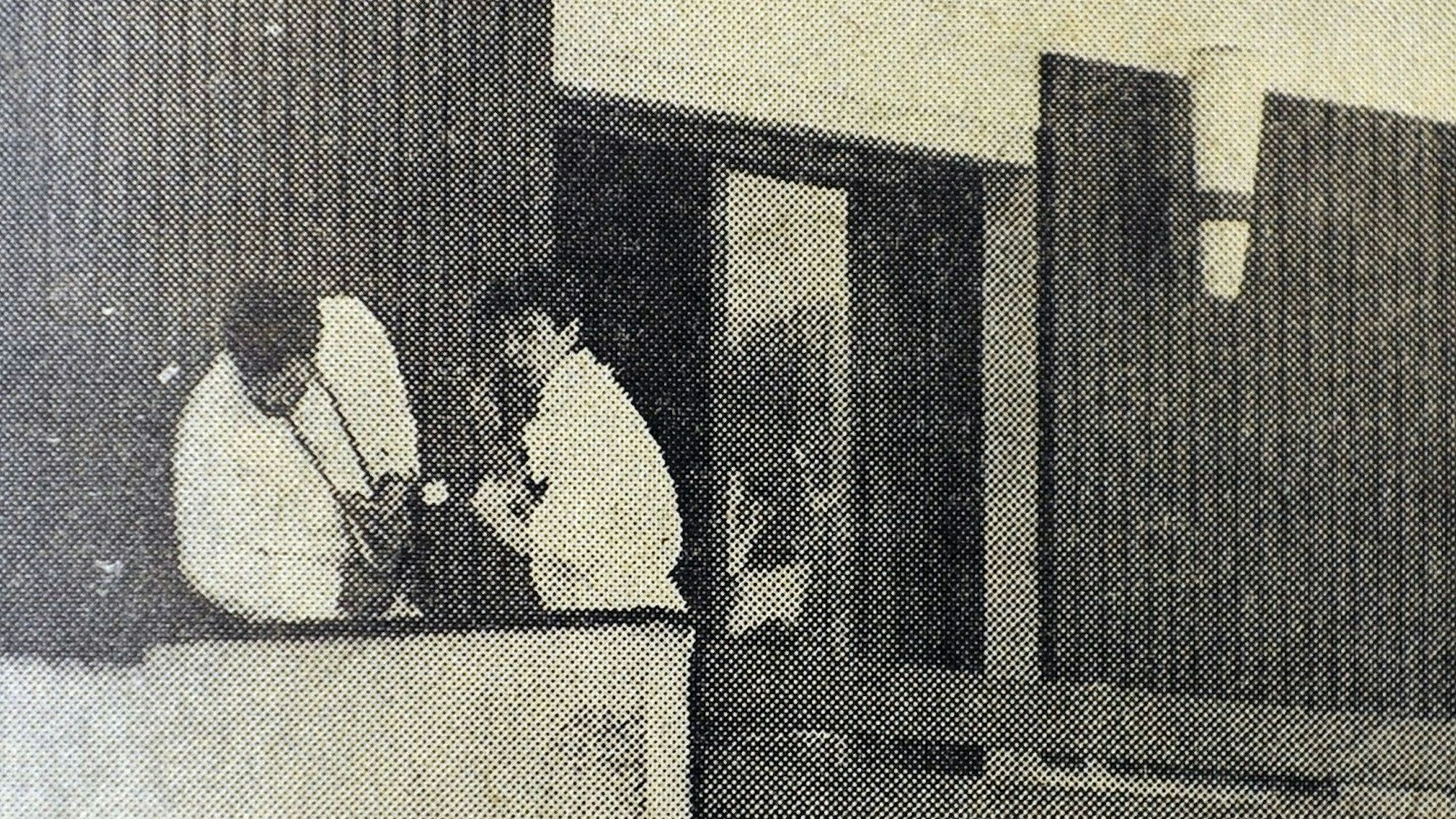 Alte Fotos Mordfall Claudia Otto.