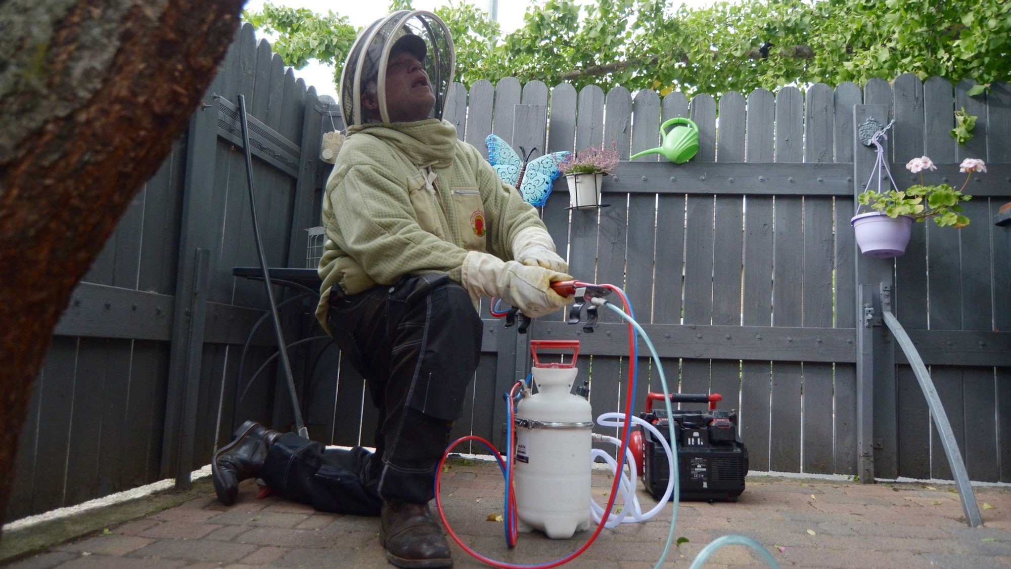 Ein Hornissen-Experte, der eine Imkermontur trägt, bedient eine Pumpe, um Kieselgur in ein Hornissennest zu injizieren. Dadurch sollen die Tiere verenden.