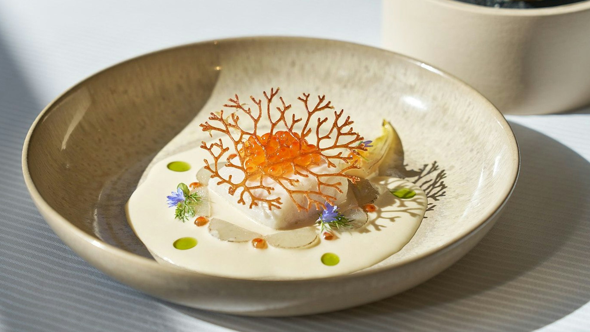 Herbstmenü im Vendome. Joachim Wissler ist als bester Koch Deutschlands geehrt worden und bietet zu dem Anlass ein günstigeres Einsteiger-Menü an.