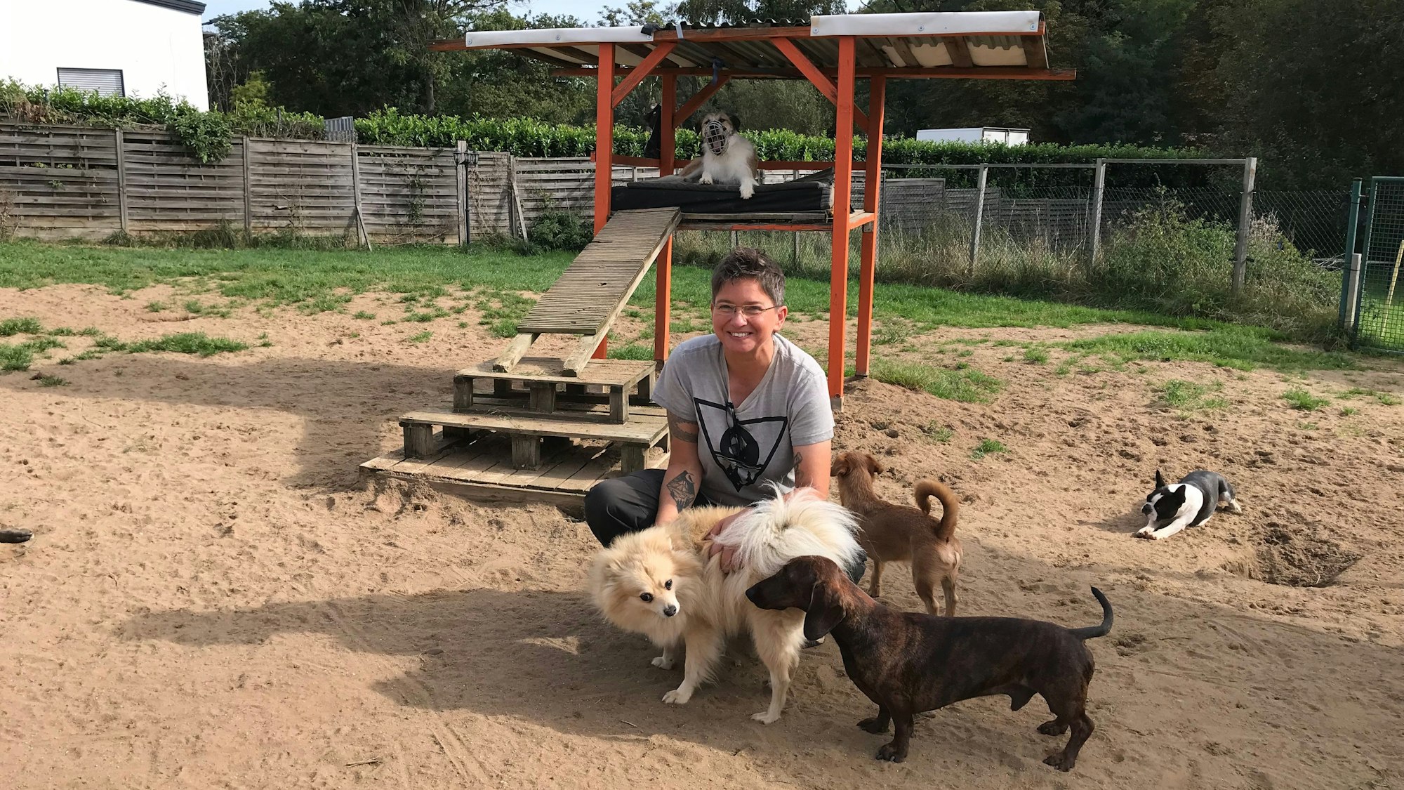 10.10.2023 Alfter: In der Hundetagesstätte Hundplus in Alfter werden 40 bis 50 Vierbeiner betreut. Inhaberin Angela Weber macht ihr Beruf sichtlich Spaß.