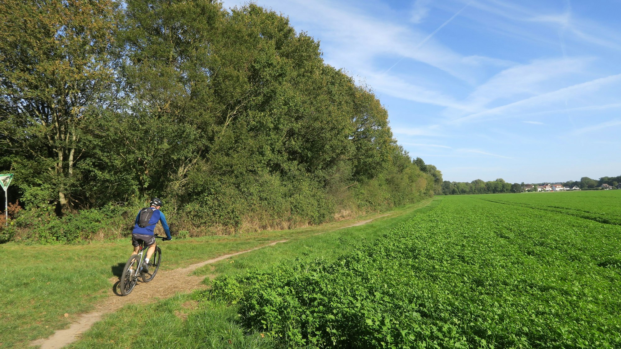 Ein grünes Feld mit Bäumen und einem Radfahrer.