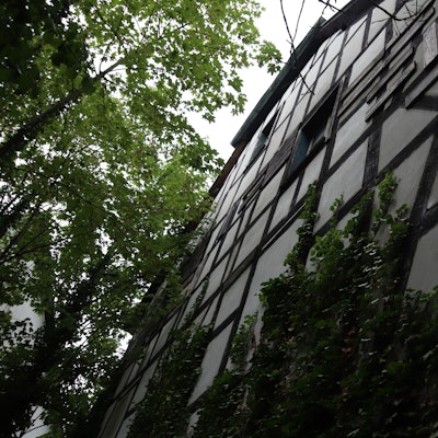 Die Fachwerkfassade von der Gartenseite. Vor lauter Grün ist von der Straße aus kaum noch was zu sehen von Balken und Gefachen.