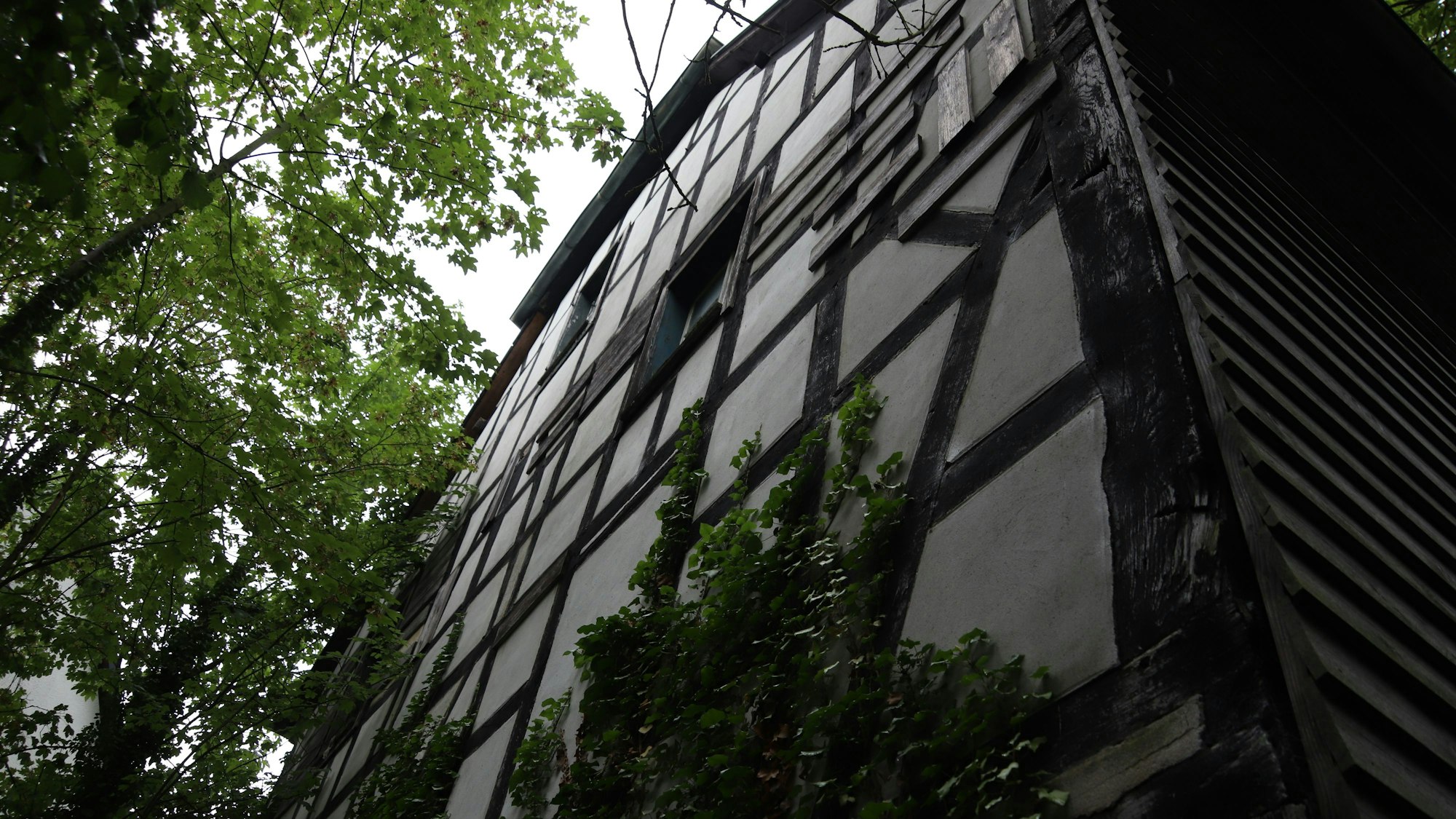 Die Fachwerkfassade von der Gartenseite. Vor lauter Grün ist von der Straße aus kaum noch was zu sehen von Balken und Gefachen.