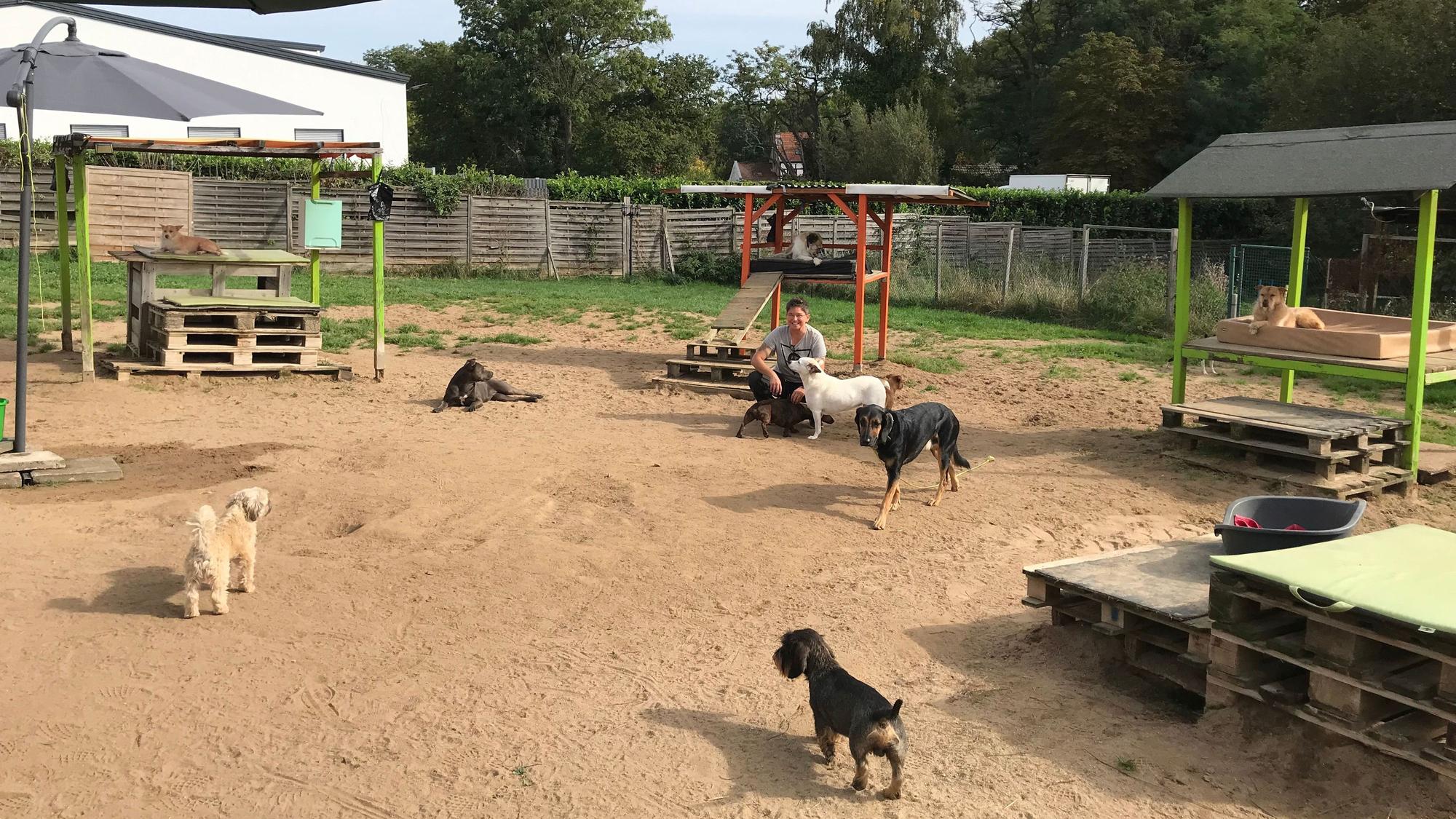 10.10.2023 Alfter: In der Hundetagesstätte Hundplus in Alfter werden 40 bis 50 Vierbeiner betreut. Inhaberinnen sind Angela Weber und Regina Pilger.