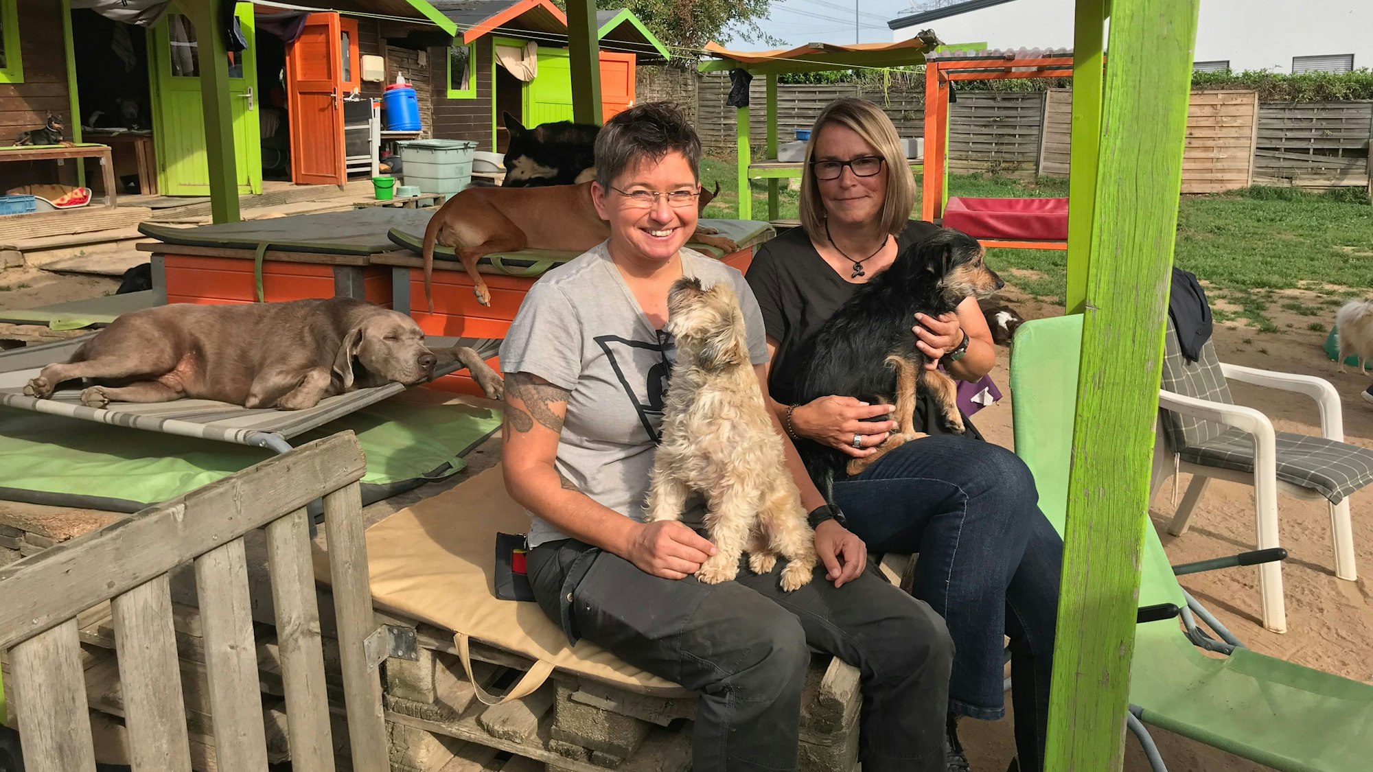 10.10.2023 Alfter: In der Hundetagesstätte Hundplus in Alfter werden 40 bis 50 Vierbeiner betreut. Inhaberinnen sind Angela Weber (rechts) und Regina Pilger.