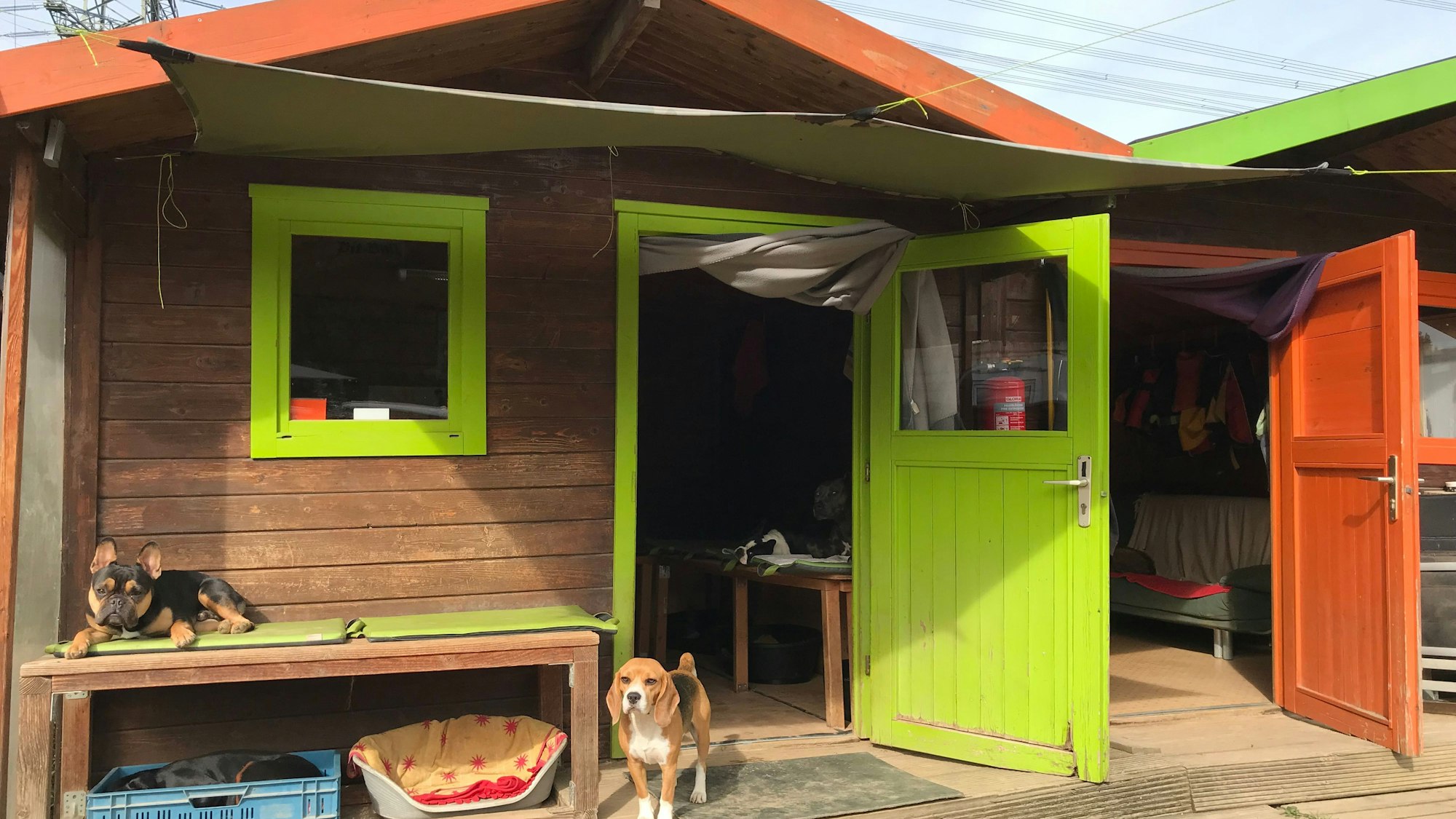 10.10.2023 Alfter: In der Hundetagesstätte Hundplus in Alfter werden 40 bis 50 Vierbeiner betreut. Wem es draußen zu sonnig, regnerisch oder kalt ist, der kann sich in eine der Hütten zurückziehen, die im Winter beheizt sind.