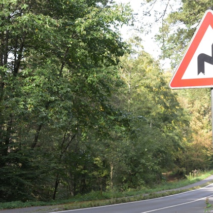 Auch in dem per Schild angekündigten Kurvenbereich der L 288 gilt aktuell Tempo 100.