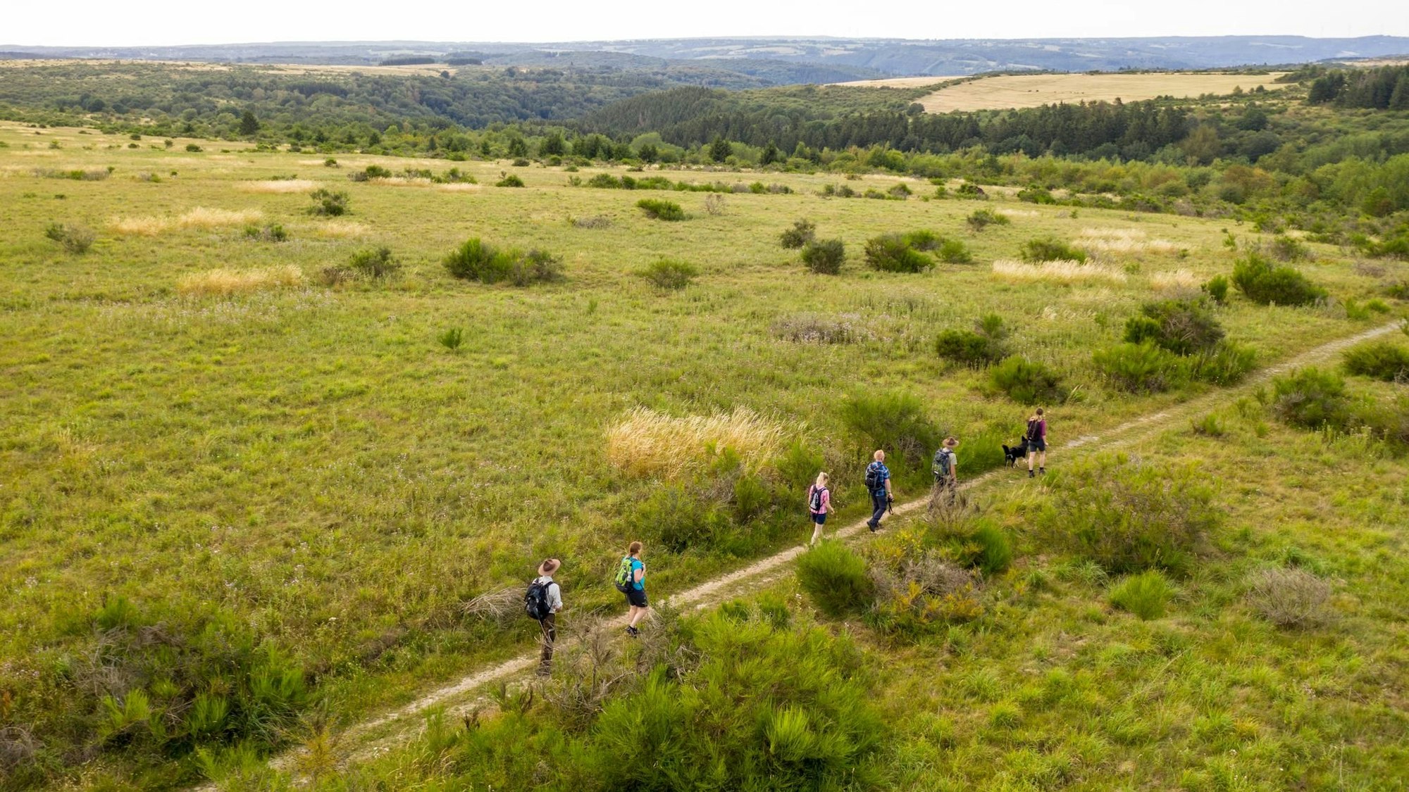 Luftaufnahme von Wanderern in einer weitläufigen Wiesenlandschaft