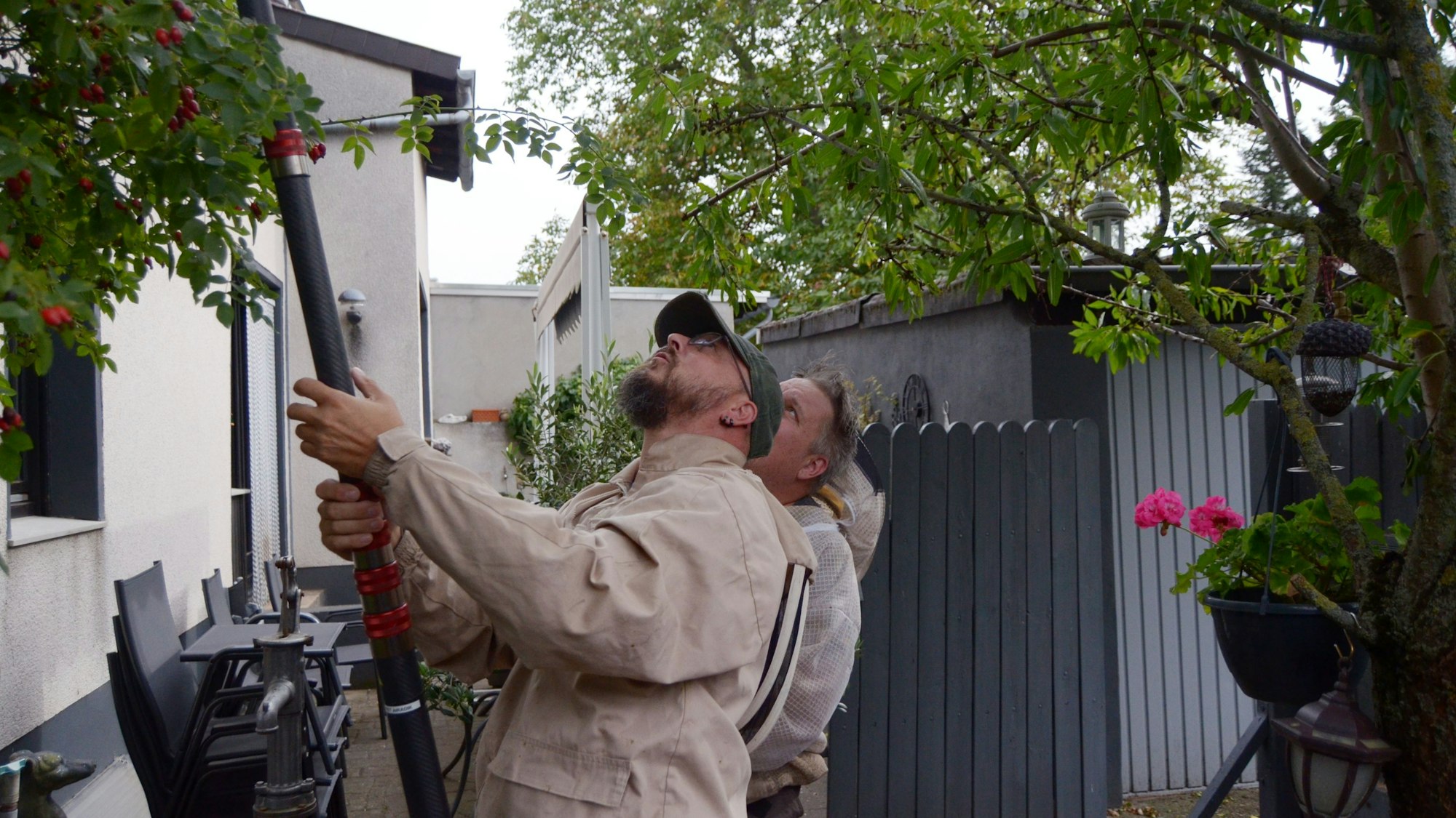 Der Hornissen-Fachberater Michael Beissel steht mit einer Teleskop-Lanze in der Hand unter einem Ginkgobaum, den Blick nach oben gerichtet.