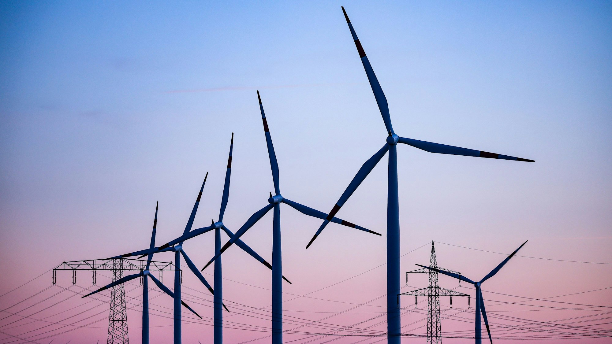 ARCHIV - 04.10.2022, Sachsen-Anhalt, Leuna: Windkraftanlagen und Hochspannungsleitungen sind vor dem Abendhimmel bei Leuna zu sehen.