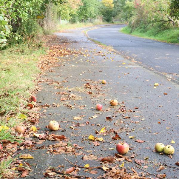 Blick auf die L 320 in Nümbrecht-Lindscheid, die im Vergleich zum recht breiten Rad-/Gehweg eher schmal ist.