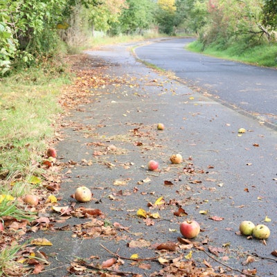 Blick auf die L 320 in Nümbrecht-Lindscheid, die im Vergleich zum recht breiten Rad-/Gehweg eher schmal ist.