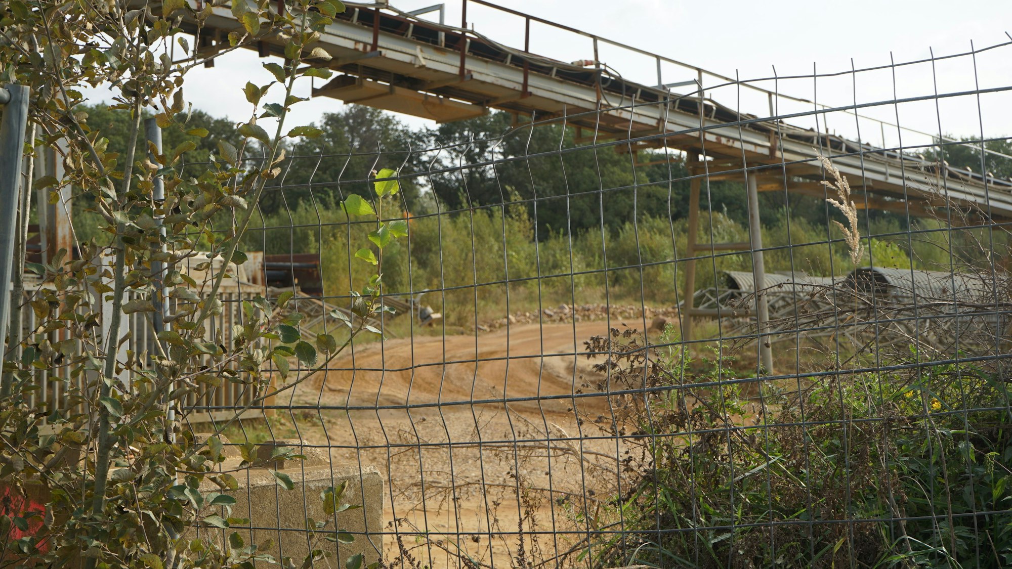 Die Kiesgrube im Forster Feld an der Steinheide.