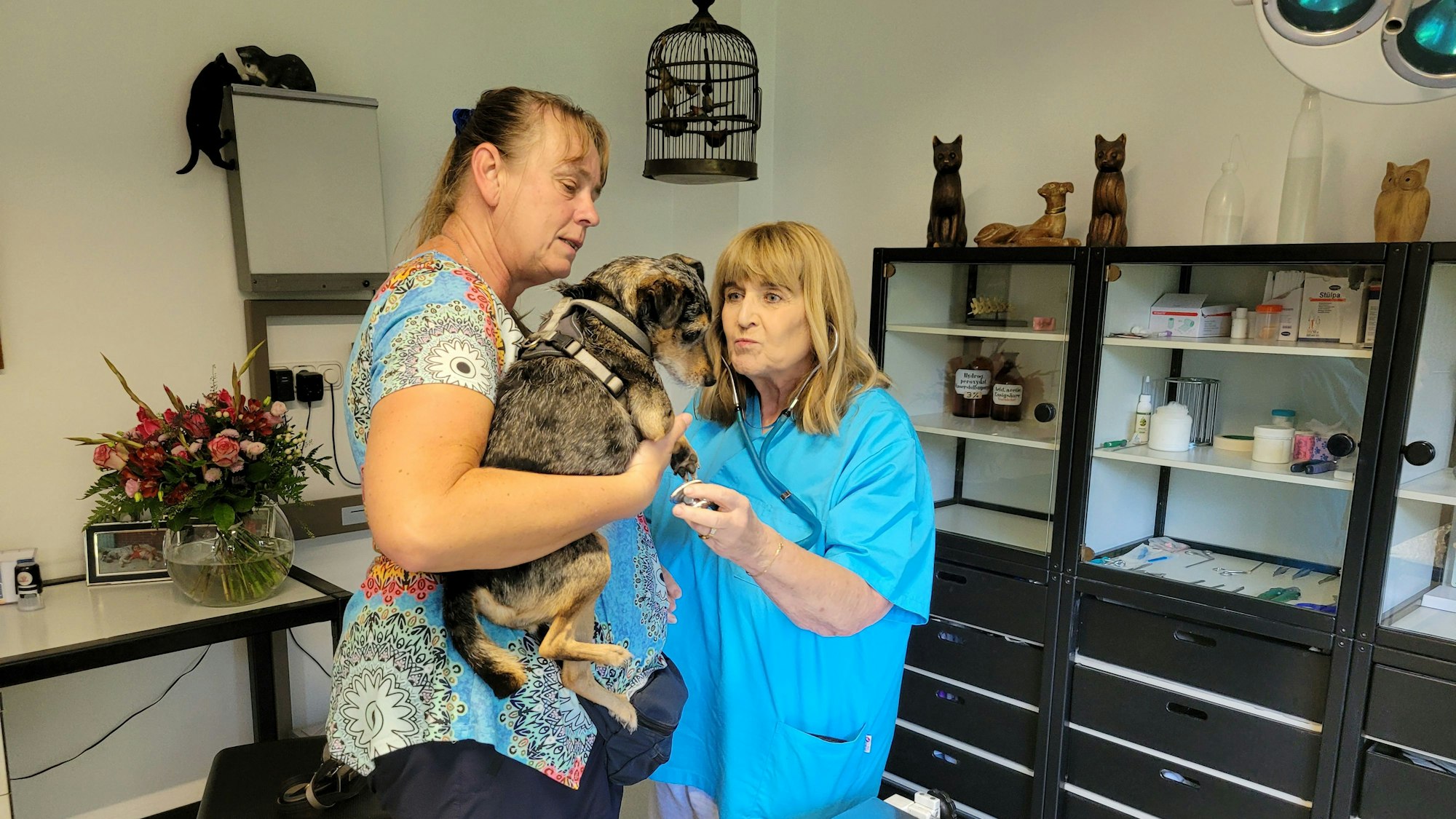 Das Foto zeigt die Tierärztin. Sie hält ein Stethoskop in der Hand, um Hündin Lizzy Impfung zu untersuchen. Ihre Besitzerin hat sie auf dem Arm.