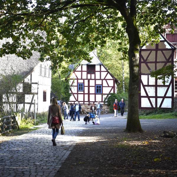 Mehrere Menschen laufen an Fachwerkhäusern im Freilichtmuseum vorbei. Ein hoher Baum rechts im Bild wirft Schatten auf die gepflasterten Wege.