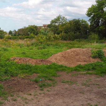 Man sieht eine noch unbebaute Wiese mit einigen Erdhügeln.