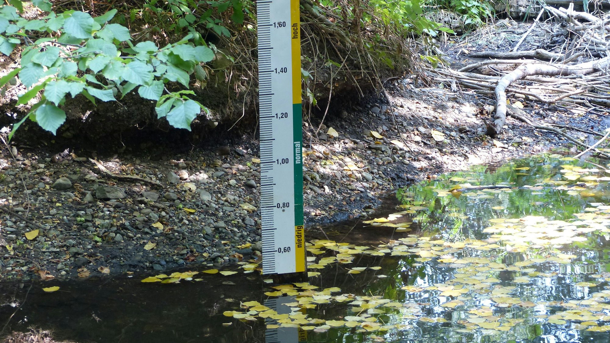 Auf dem Foto ist der Pulheimer Bach zu sehen. Der Pegel zeigt den niedrigen Wasserstand an.