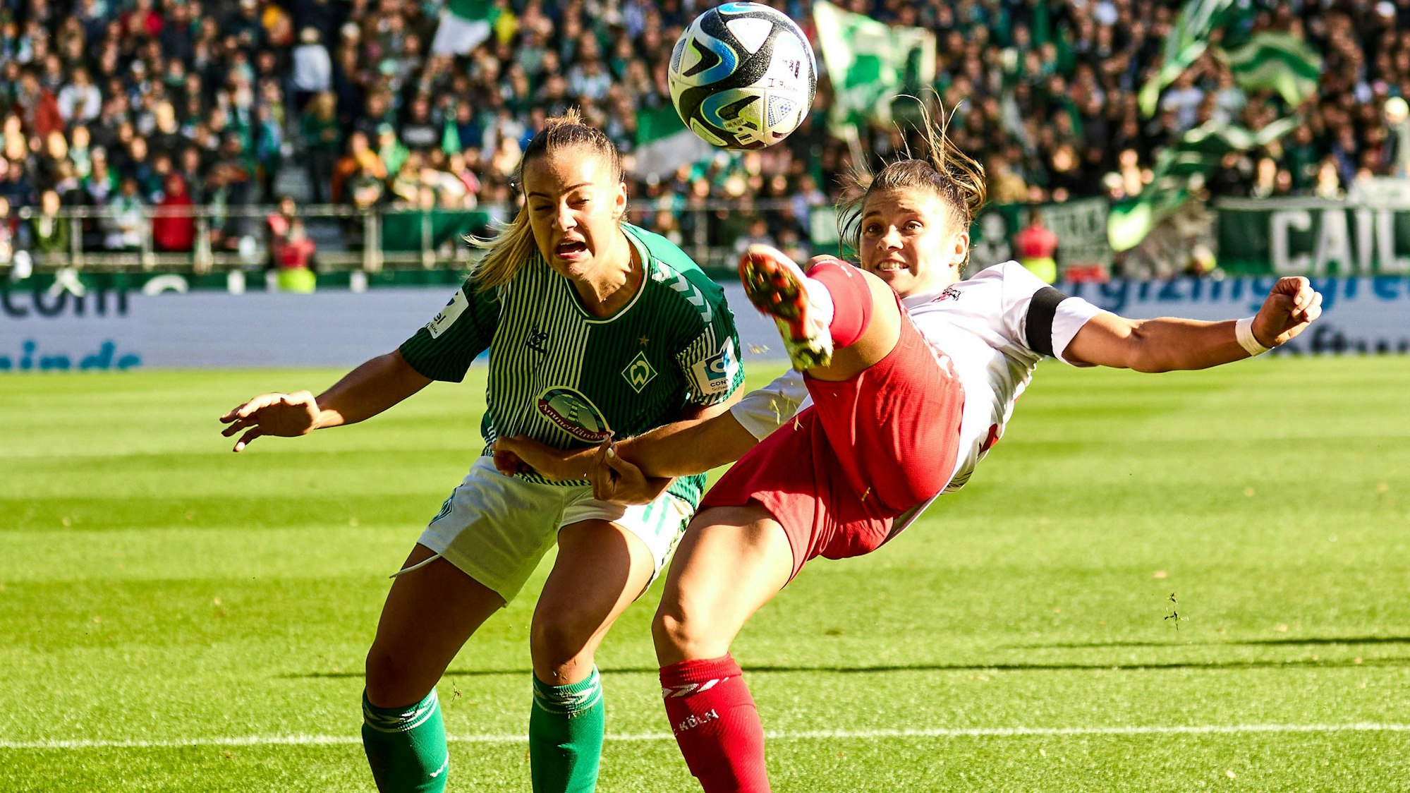 Zweikampf Maja Sternad SV Werder Bremen 11 , Lotta Cordes 1.FC Koeln 06 GER, SV Werder Bremen : 1.FC Koeln, Fussball, Frauen Bundesliga, 4.Spieltag, Spielzeit 2023/2024, 14.10.2023 GER, SV Werder Bremen : 1.FC Koeln, Fussball, Frauen Bundesliga, 4.Spieltag, Spielzeit 2023/2024, 14.10.2023 Bremen *** Duel Maja Sternad SV Werder Bremen 11 , Lotta Cordes 1 FC Koeln 06 GER, SV Werder Bremen 1 FC Koeln, Football, Womens Bundesliga, 4 Matchday, Season 2023 2024, 14 10 2023 GER, SV Werder Bremen 1 FC Koeln, Football, Womens Bundesliga, 4 Matchday, Season 2023 2024, 14 10 2023 Bremen Copyright: xEibner-Pressefoto/xStephaniexZerx EP_SZE