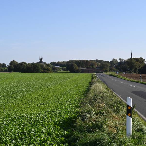 Das Foto zeigt Feld, dazwischen verläuft eine zweispurige Straße, im Hintergrund ist der Ort Büsdorf zu sehen.