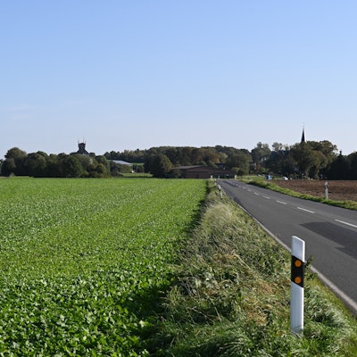 Das Foto zeigt Feld, dazwischen verläuft eine zweispurige Straße, im Hintergrund ist der Ort Büsdorf zu sehen.