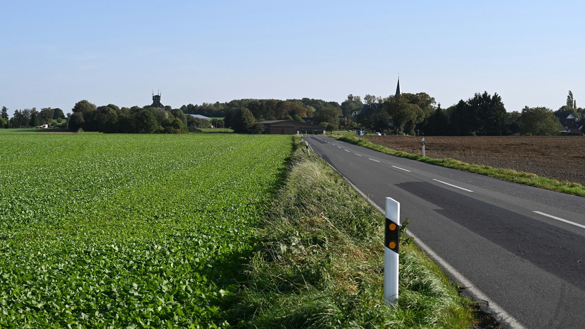 Das Foto zeigt Feld, dazwischen verläuft eine zweispurige Straße, im Hintergrund ist der Ort Büsdorf zu sehen.