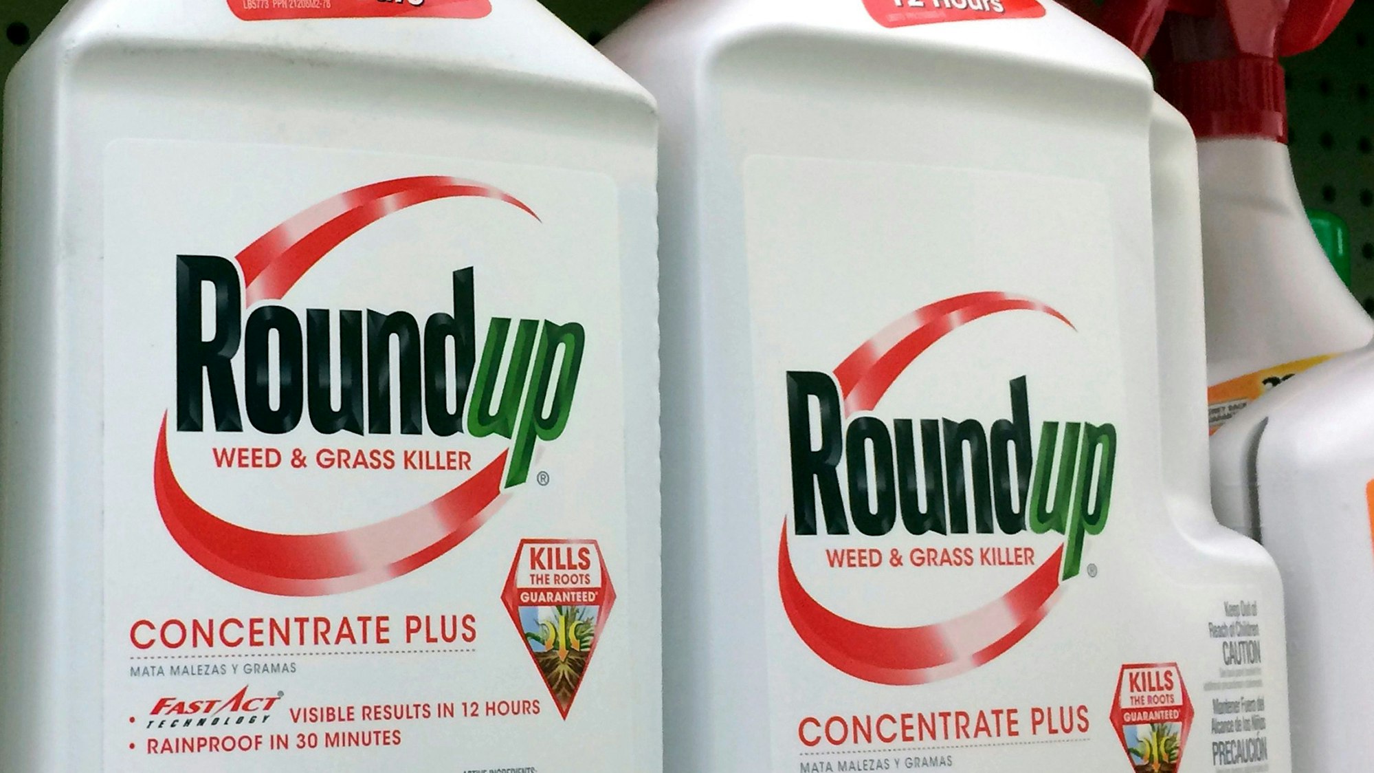 In Roundup ist der umstrittene Wirkstoff Glyphosat enthalten.