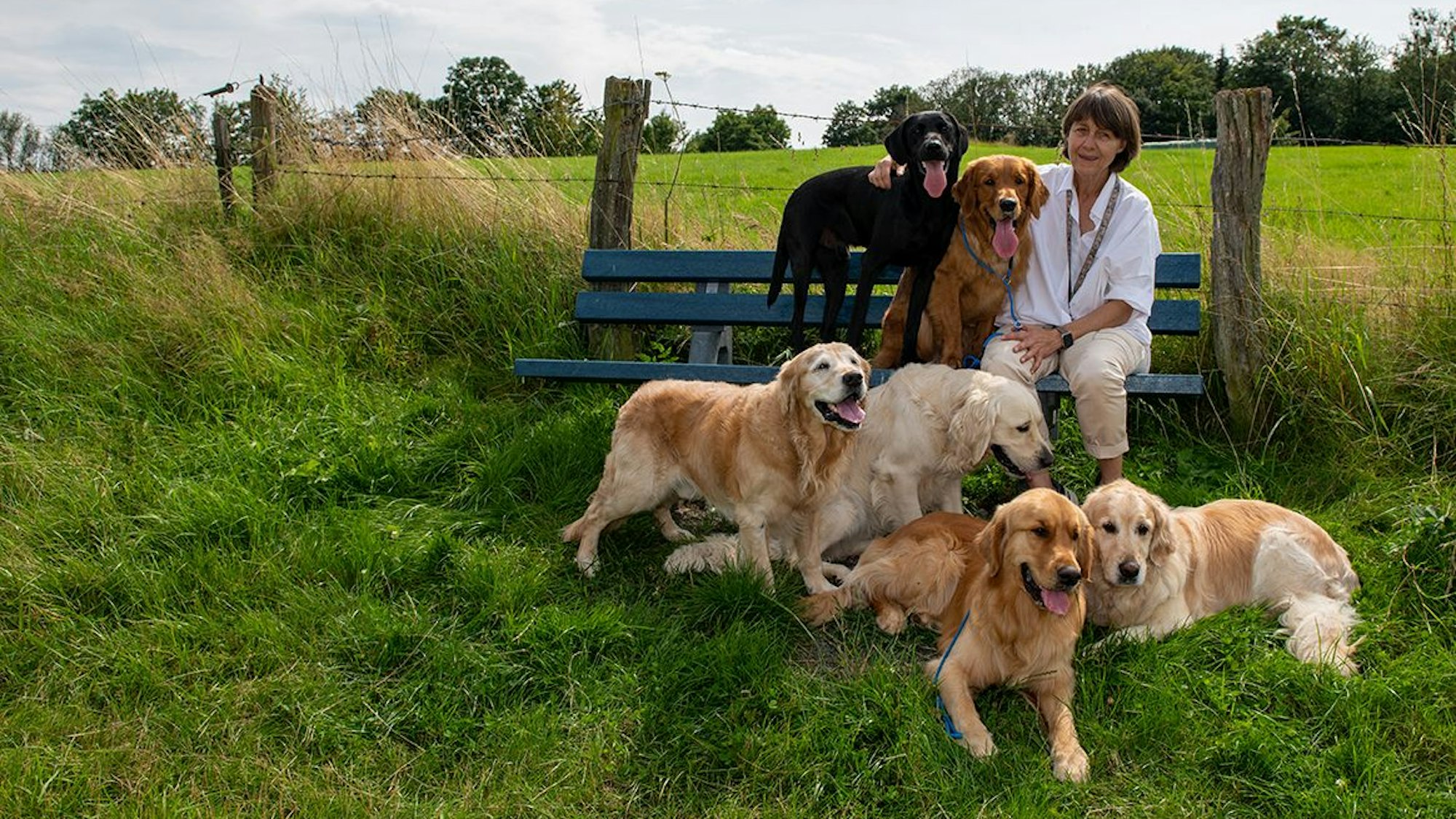 Vita-Gründerin Tatjana Kreidler sitzt mit einigen Hunden auf einer Bank.