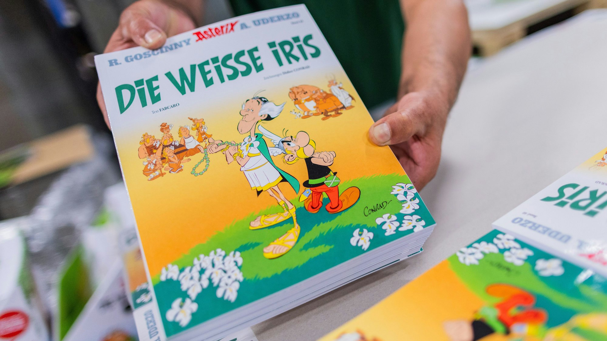 Ausgaben des neuen Asterix-Band Nummer 40 mit dem Titel „Die weiße Iris“ werden in einer Logistikhalle konfektioniert und in Displays für den Einzelhandel verpackt.