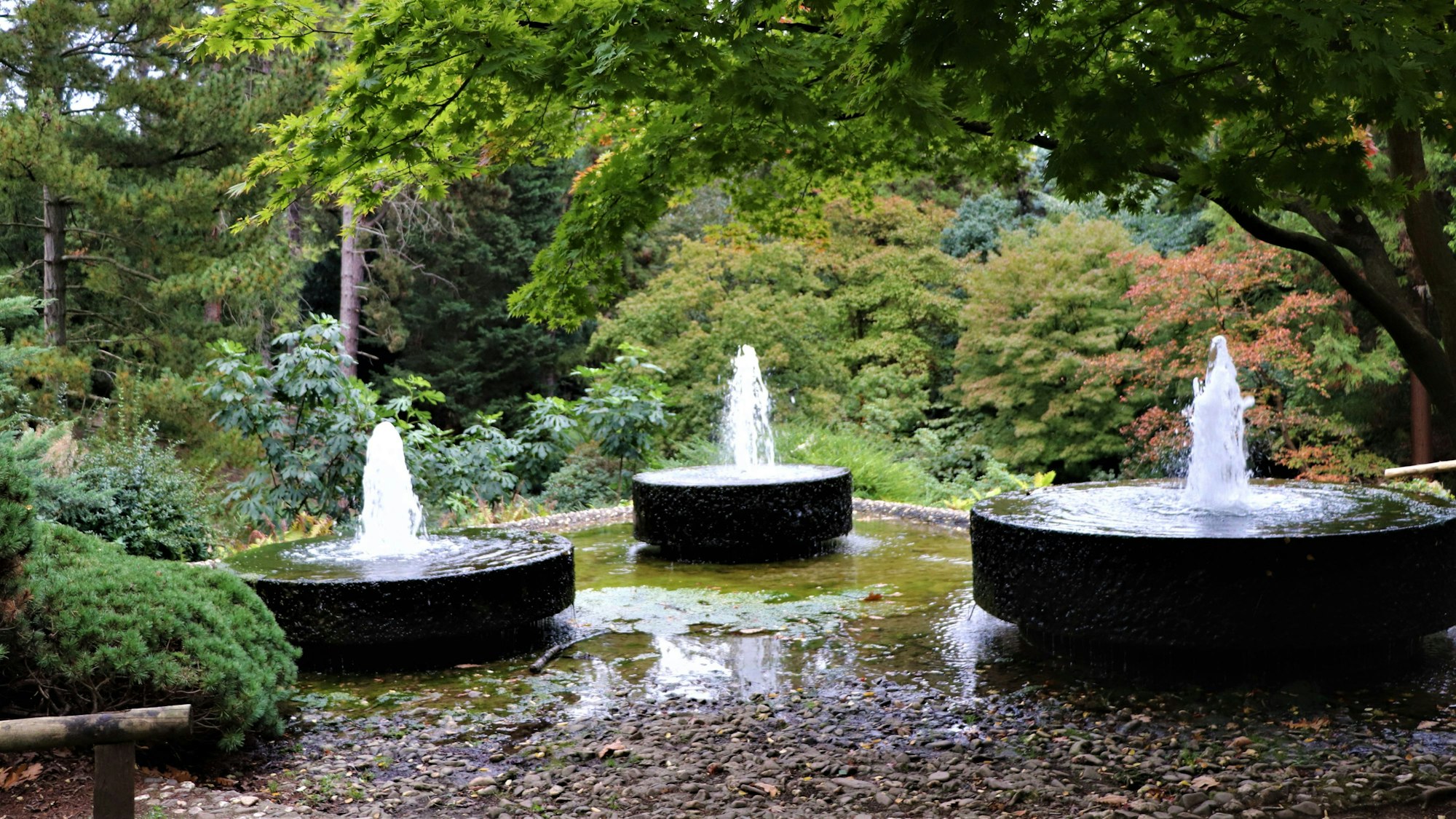 Drei Mühlsteine aus denen Wasser sprudelt im Forstbotanischem Garten Rodenkirchen.