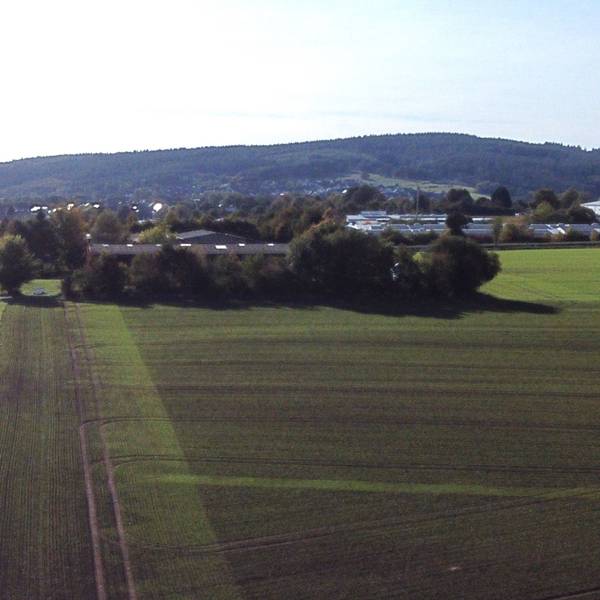 Zu sehen sind auf der Luftaufnahme der von Bäumen verdeckte Heidehof und die Freifläche daneben. Das Gelände wird von einer Straße begrenzt.