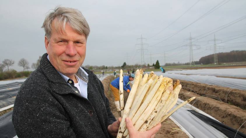 Beim Stechen des ersten Bornheimer Spargels der Saison - hier 2017 - zeigte sich Claus Ritter gerne den Medien