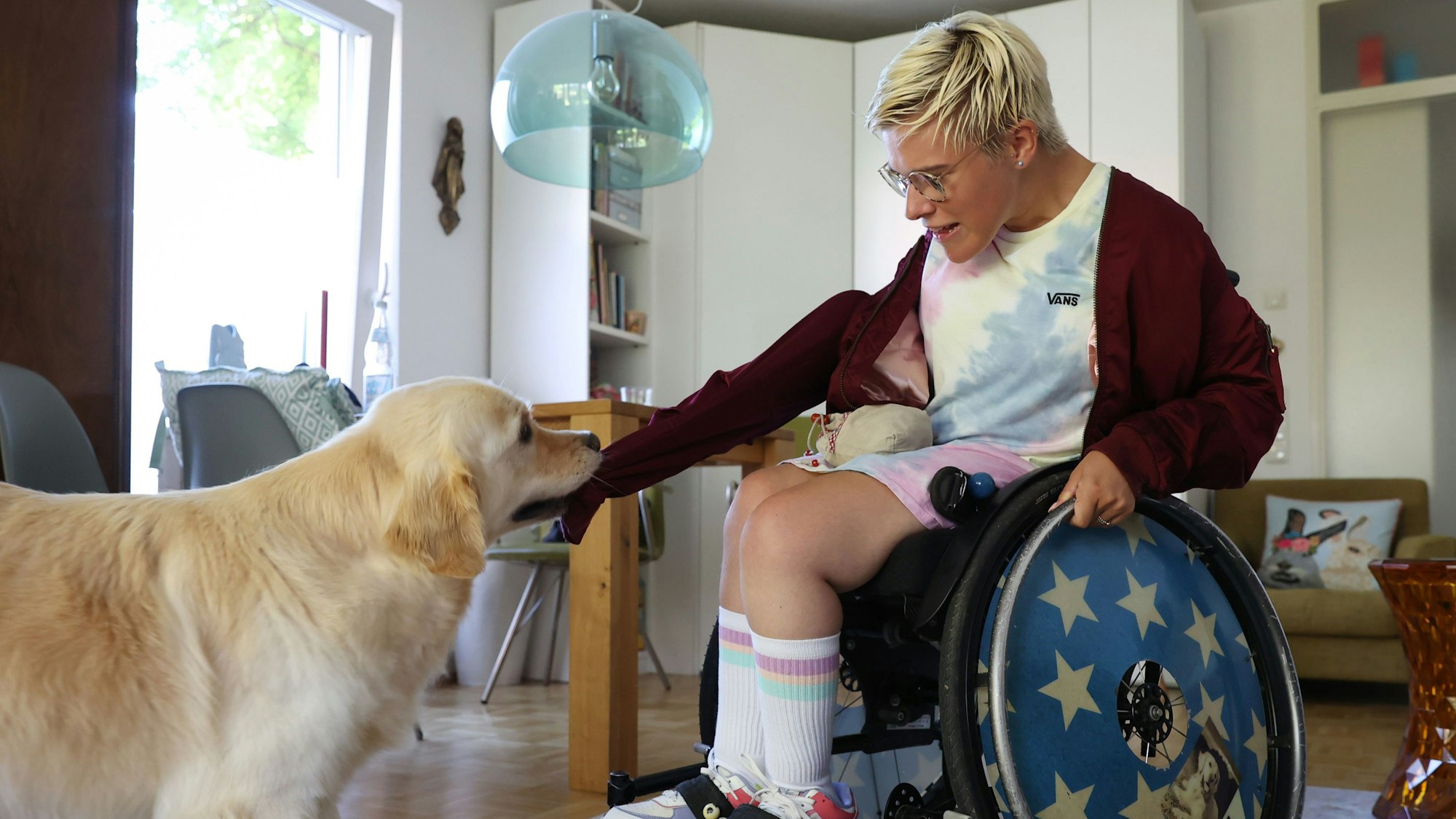 Assistenzhund Aidan zieht am Jackenärmel von Frieda Krieger.