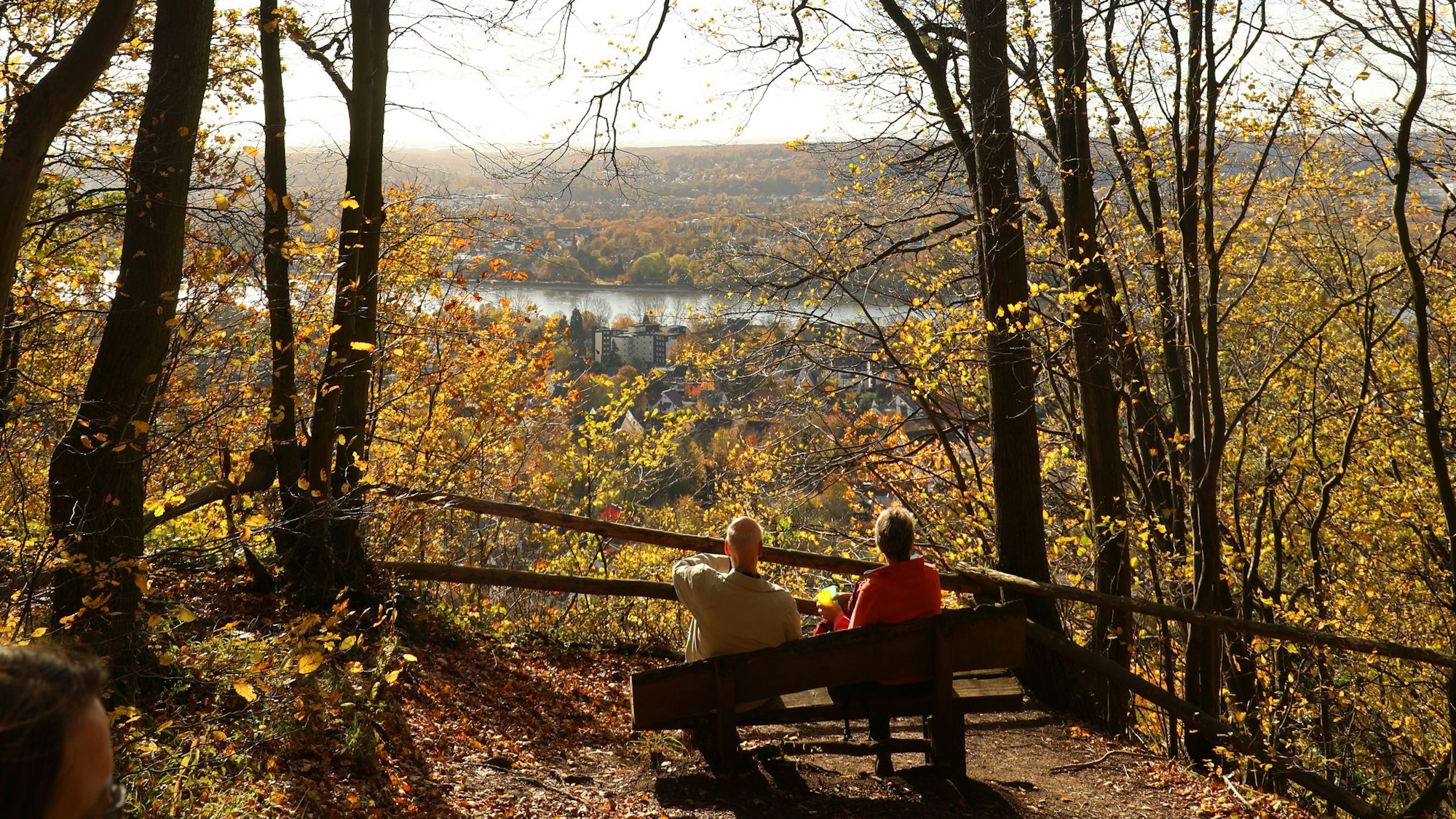 Zwei Menschen sitzen auf einer Bank und schauen auf den Rhein.