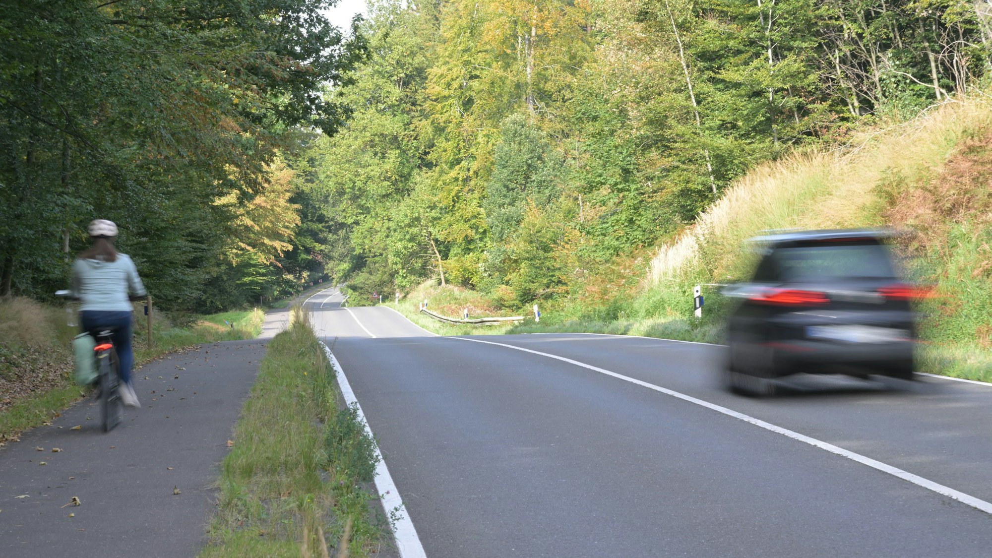 Auf der L288 durch den Königsforst gilt überwiegend Tempo 100.