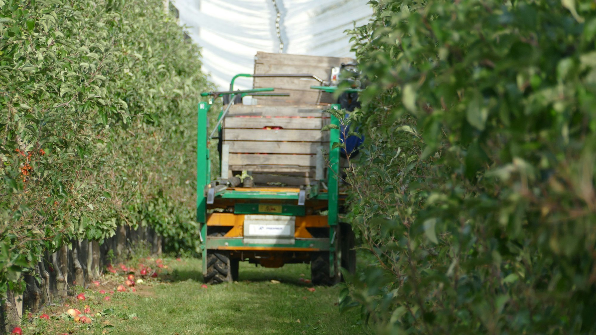 Die Erntemaschine, an der der Unfall passierte.