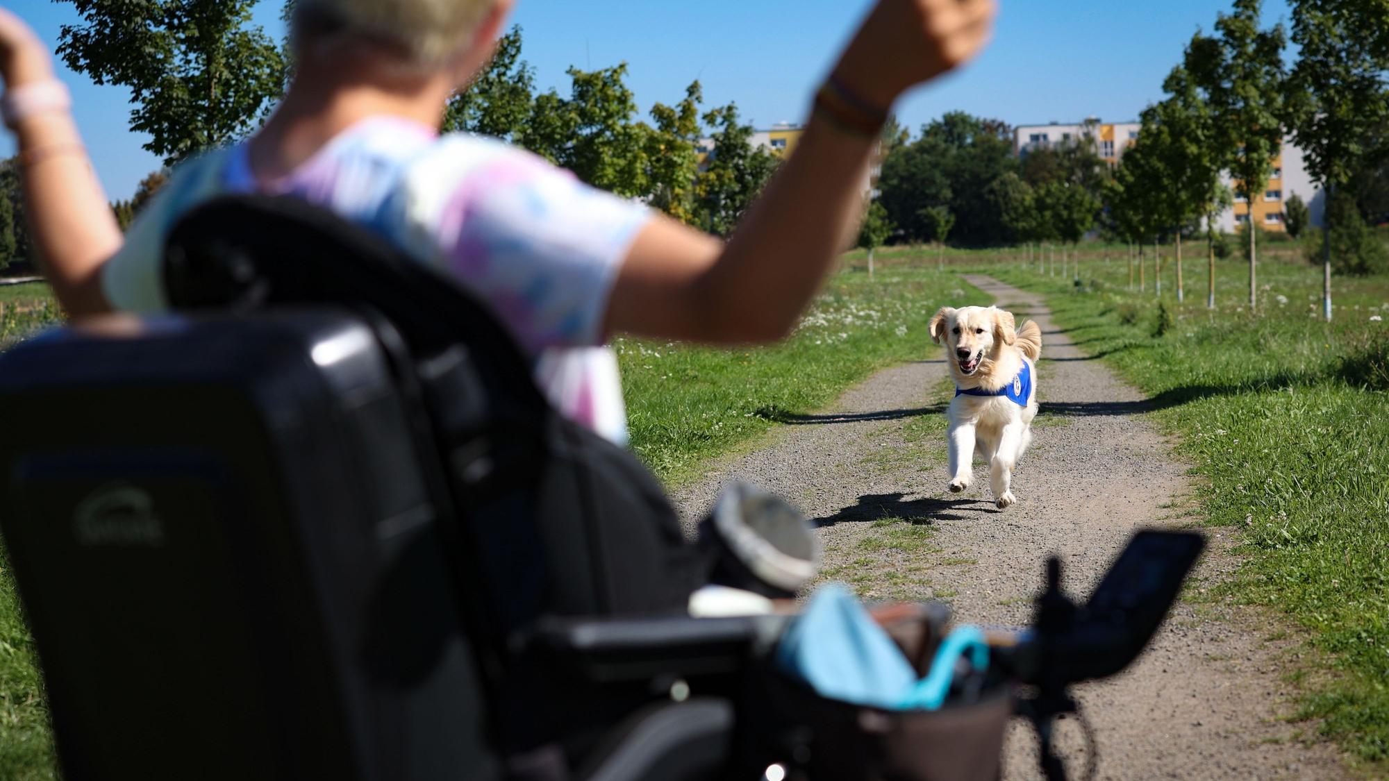 Assistenzhund Aidan läuft auf Frieda Krieger zu.