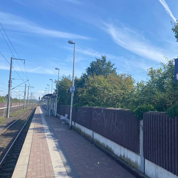 Die Bahnstation in Sindorf. An einer Schallschutzmauer ist Graffiti.