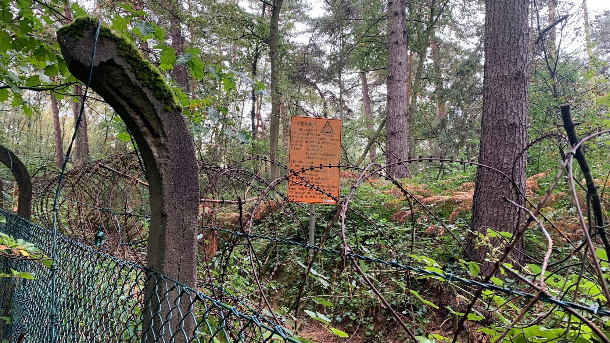Stacheldrahtzaun und alte Pfosten im Wald; weiter hinten ein altes Warnschild.