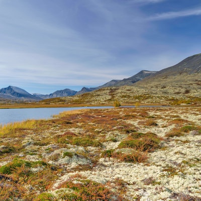 Die deutsche Polizei will in dem Fall einer in Norwegen gefundenen toten Frau eng mit den norwegischen Kollegen zusammenarbeiten. Die Leiche der deutschen Staatsbürgerin war in einem See gefunden worden. (Symbolbild)