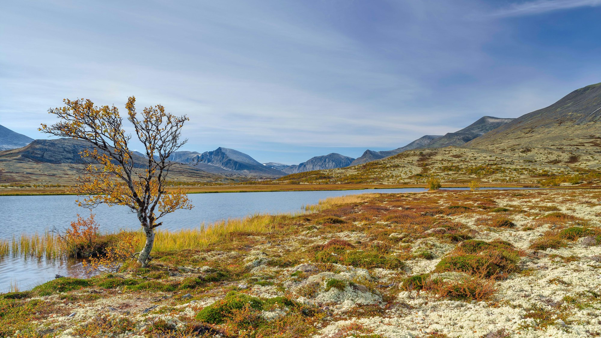 Die deutsche Polizei will in dem Fall einer in Norwegen gefundenen toten Frau eng mit den norwegischen Kollegen zusammenarbeiten. Die Leiche der deutschen Staatsbürgerin war in einem See gefunden worden. (Symbolbild)