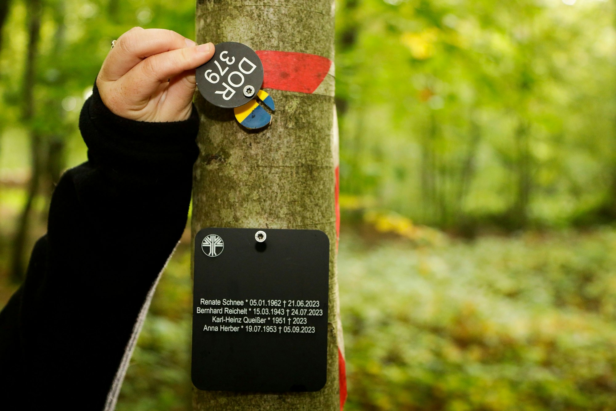 Plaketten an einem Bestattungsbaum.