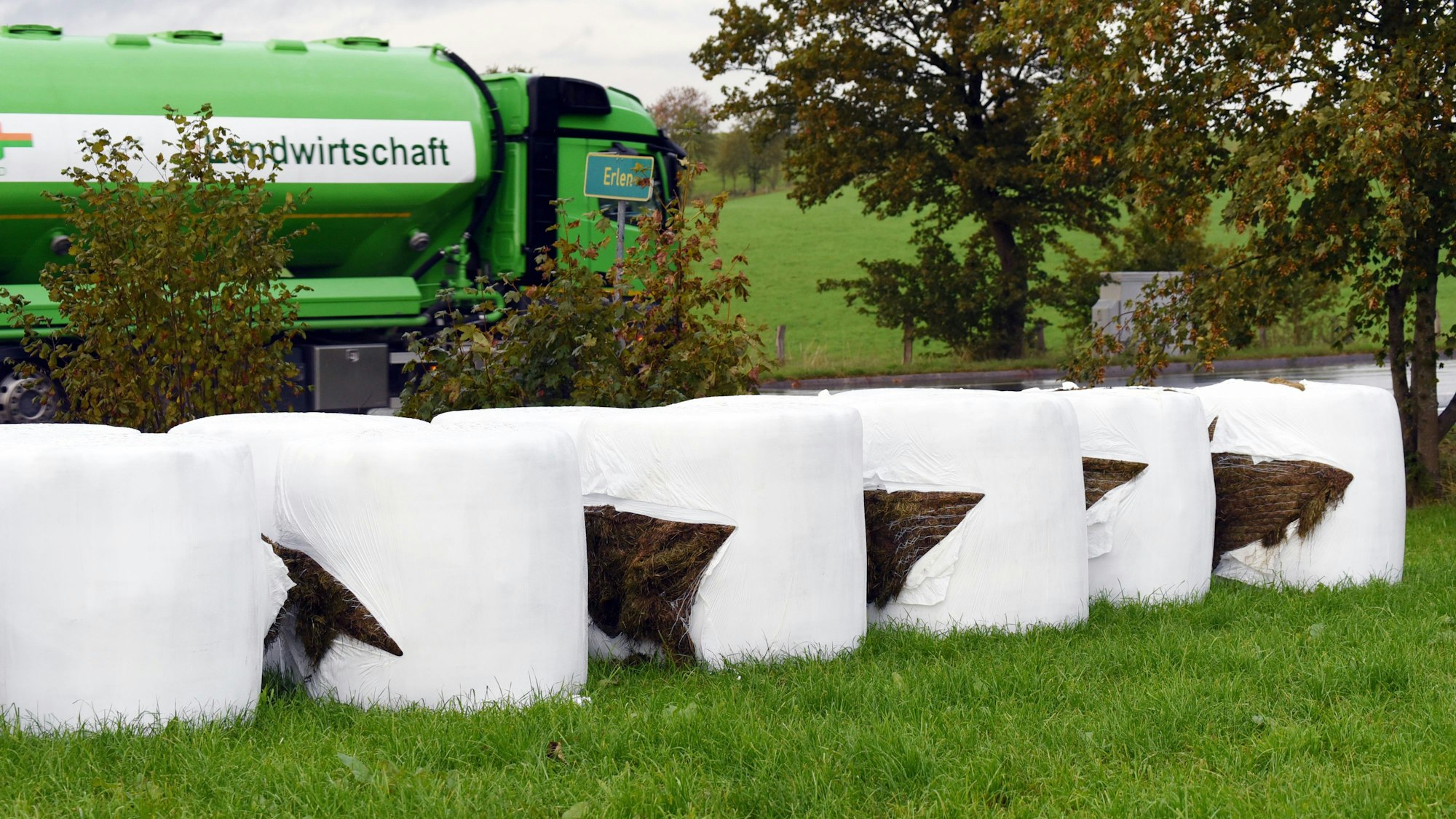 Die aufgeschlitzten Siloballen in Wipperfürth-Erlen.