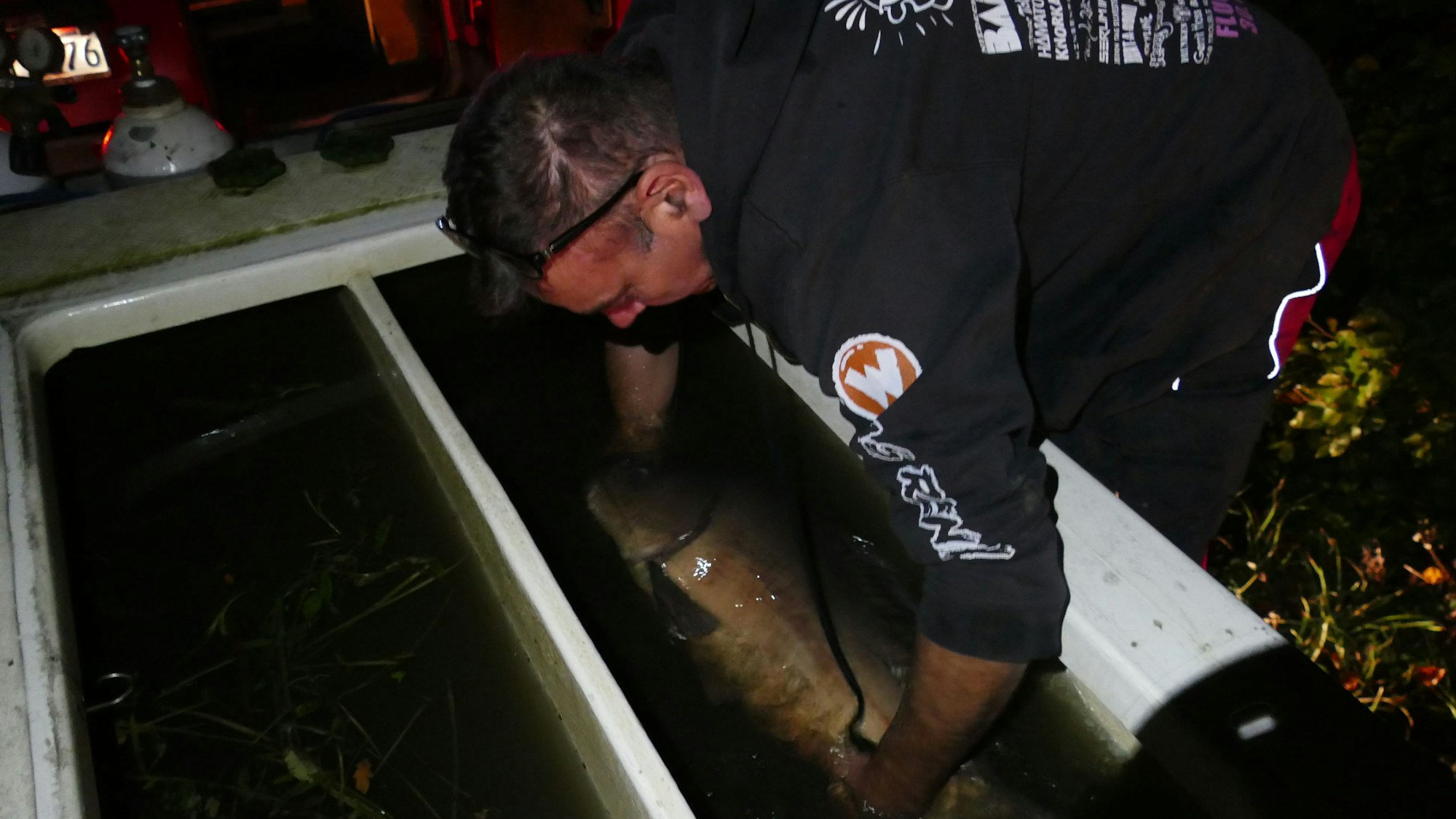 Ein Fischzüchter hält einen Karpfen in der Hand.