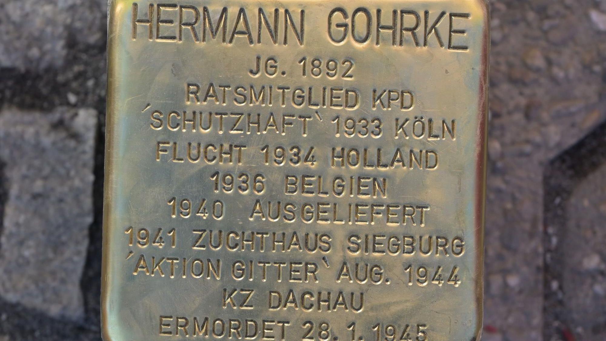 Das Foto zeigt den Gedekstein für Hermann Gohrke