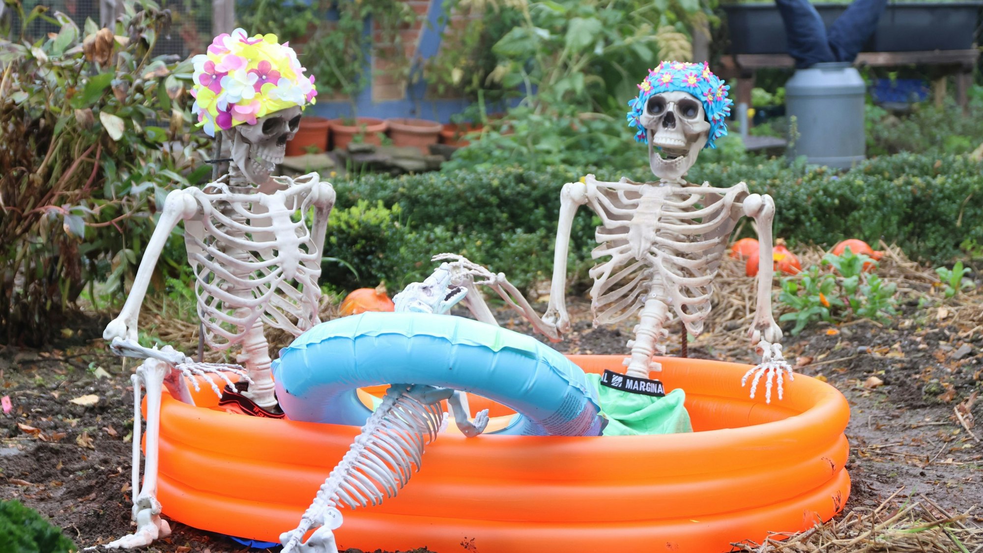 Zwei Skelette sitzen in einem Kinderplanschbecken im Bauerngarten des Affen- und Vogelparks Eckenhagen.