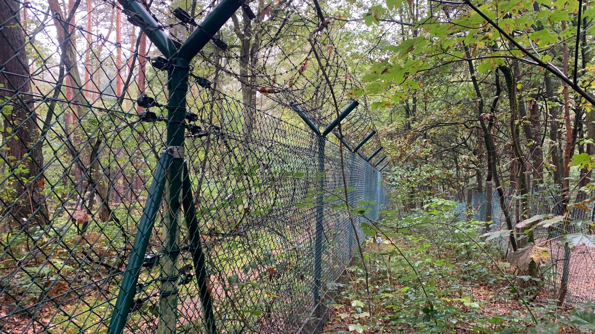 Ein mehrfach gesicherter Zaun trennt im Wald ein Grundstück ab.