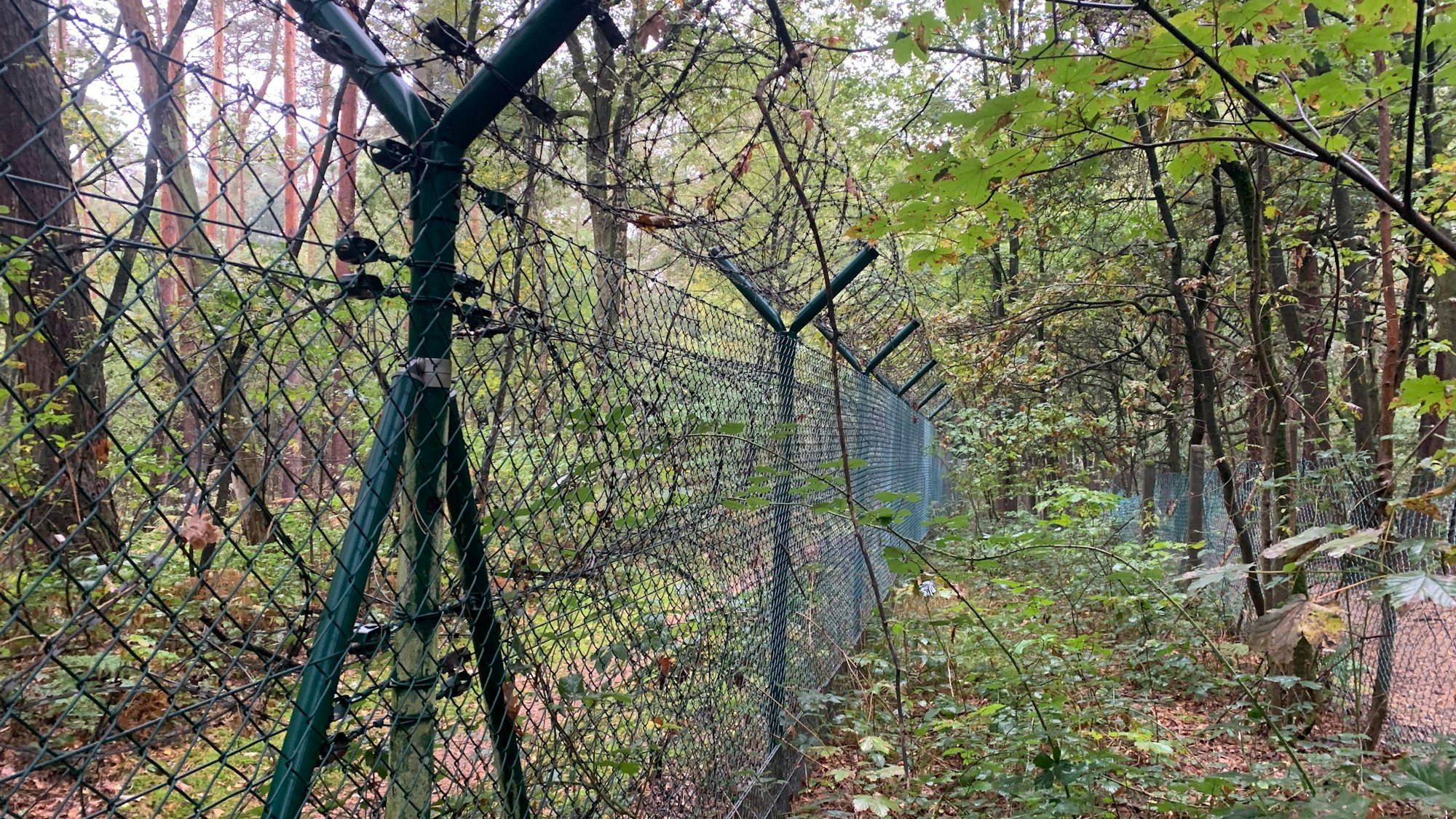 Ein mehrfach gesicherter Zaun trennt im Wald ein Grundstück ab.
