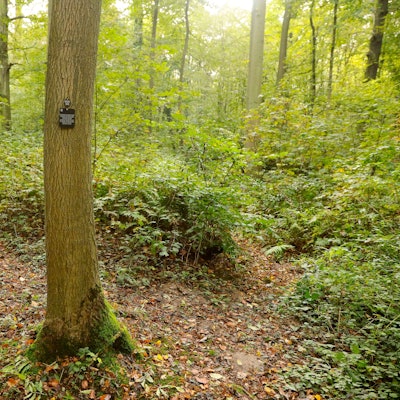 16.10,2023, Dormagen. Friedwald Dormagen.Foto:Dirk Borm