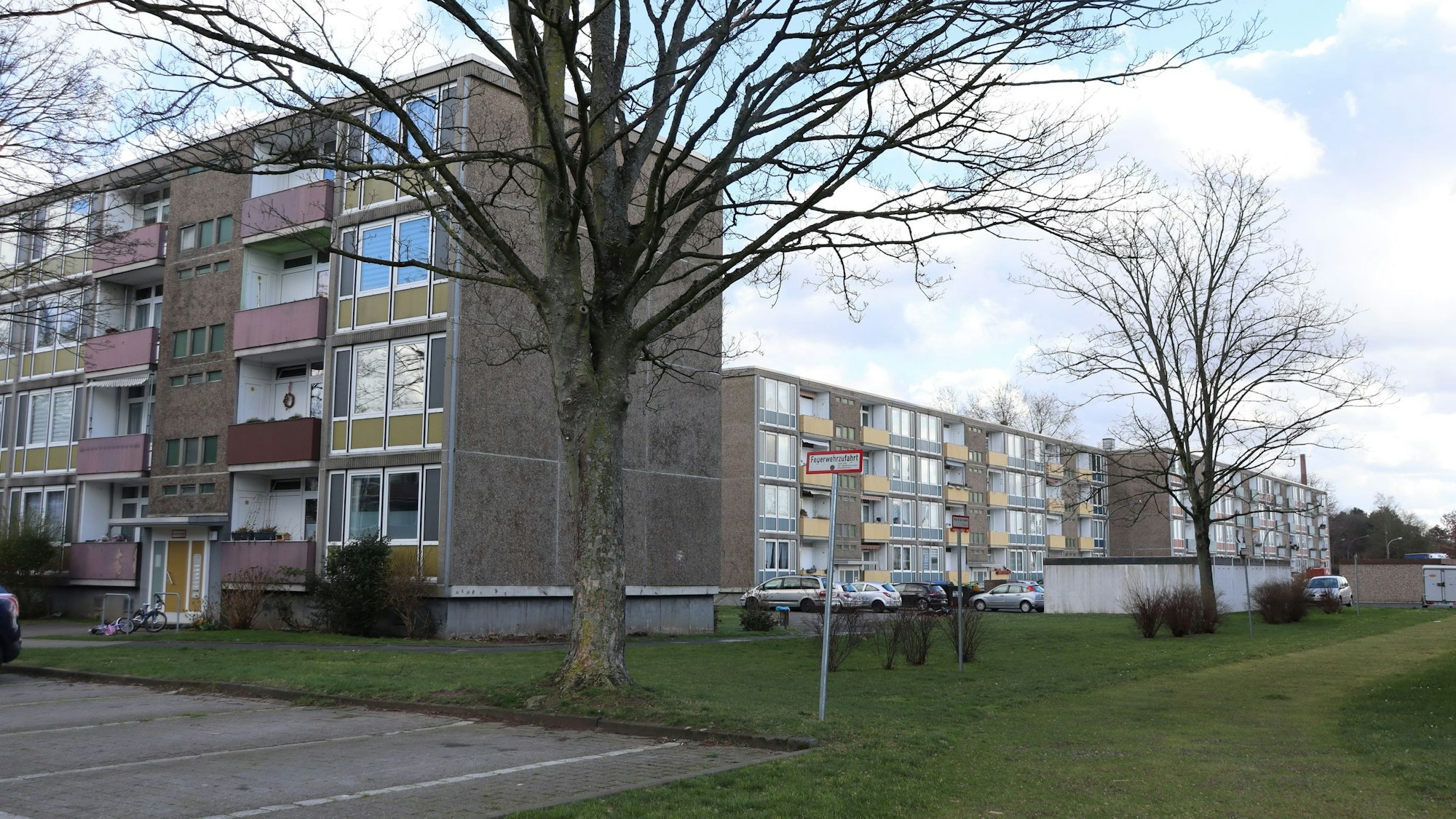 Ein Plattenbau am Park.