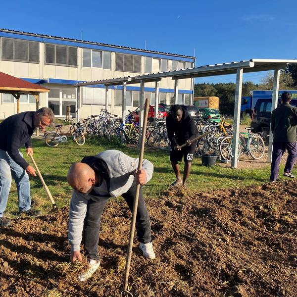 Gemeinsam legen Geflüchtete und Wachtberger Ehrenamtler in Villip ein Beet an.